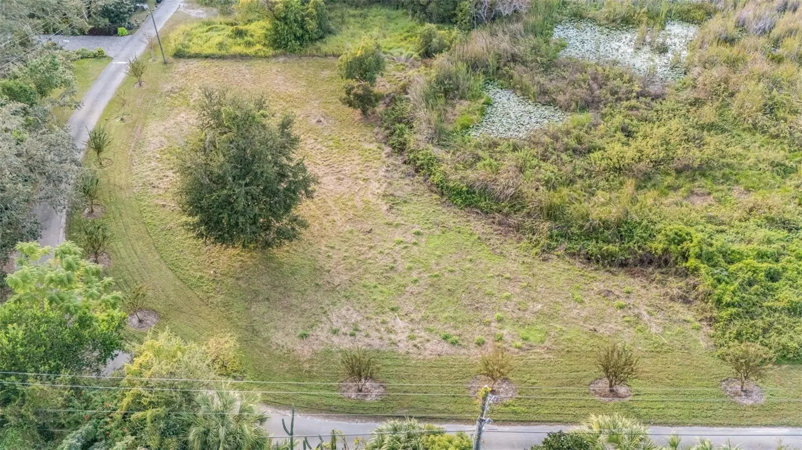 Riverside Park Road, FL