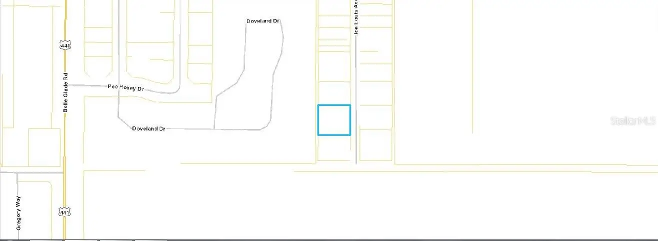 875 Joe Louis Avenue, FL