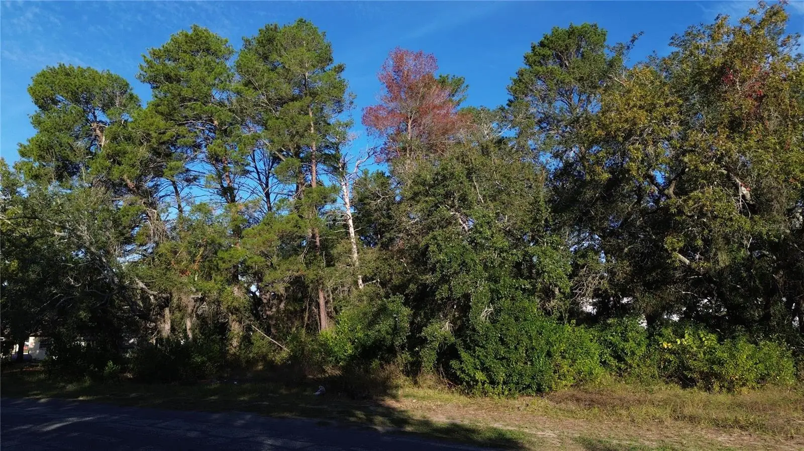 7939 Rhanbuoy Road, FL