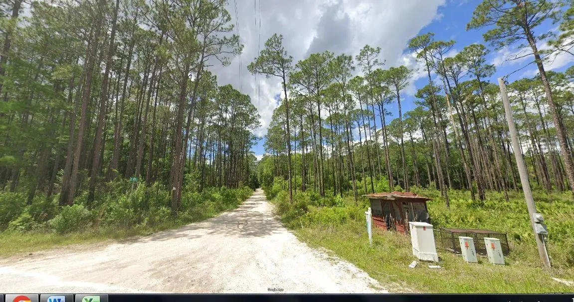 17847 Lil Dixie Drive, FL