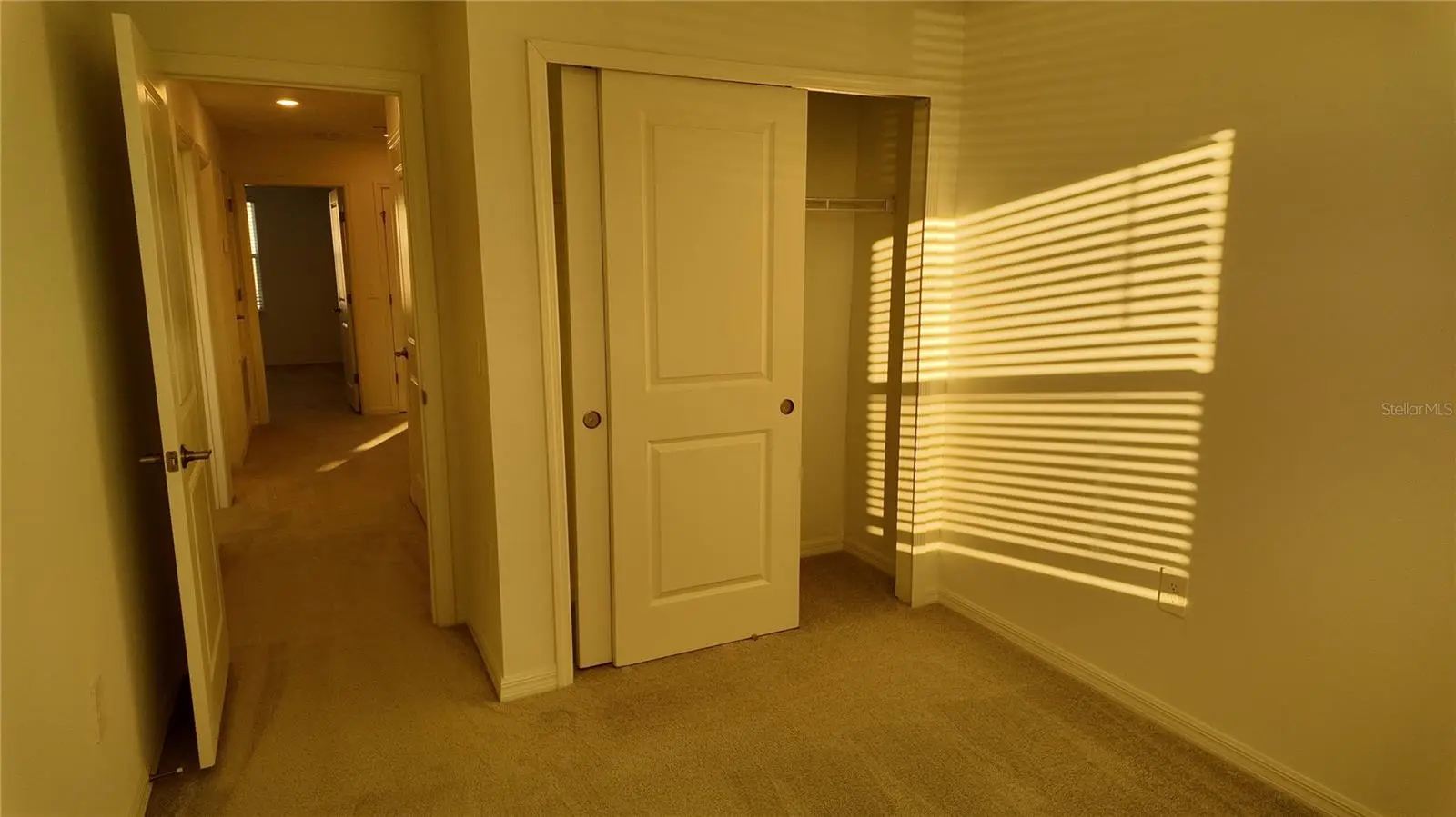 2207 Portrait Street, FL