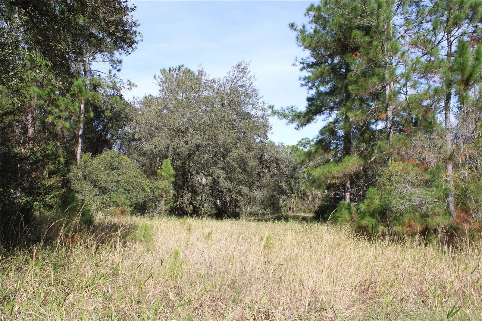 Duboise Drive, FL