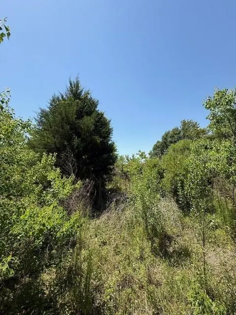 17918 Us Highway 301, FL