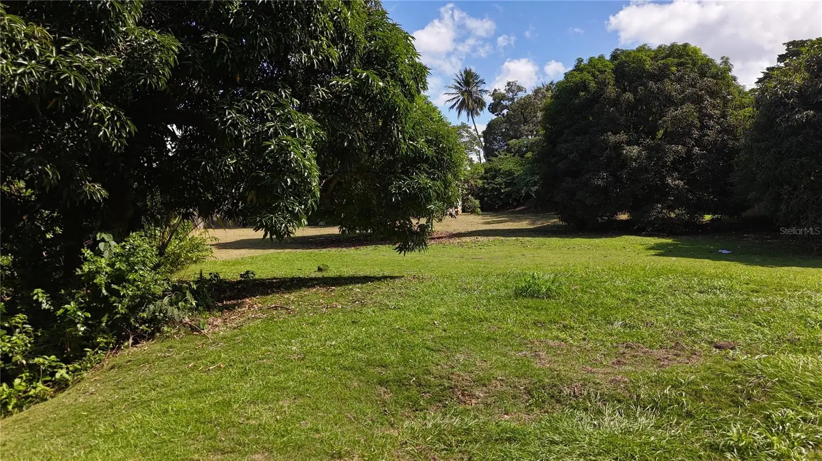 Pr-876 Km 0.7 Bo Las Cuevas, PR
