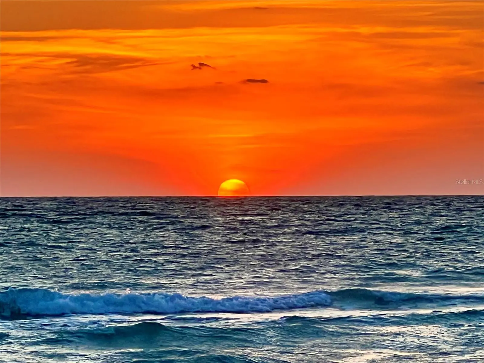 8146 Little Gasparilla Island, FL