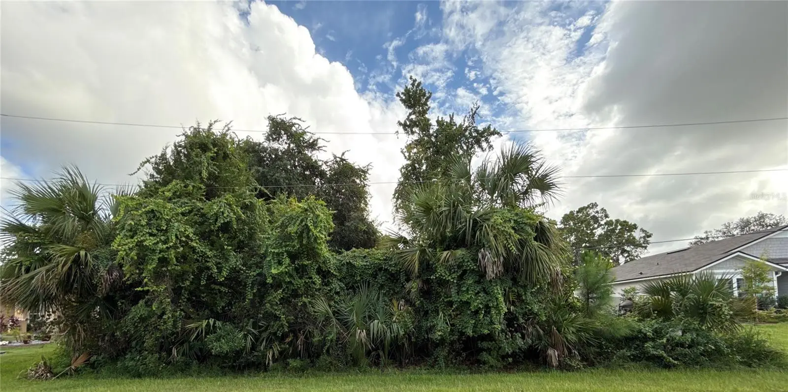 38 Pineapple Drive, FL