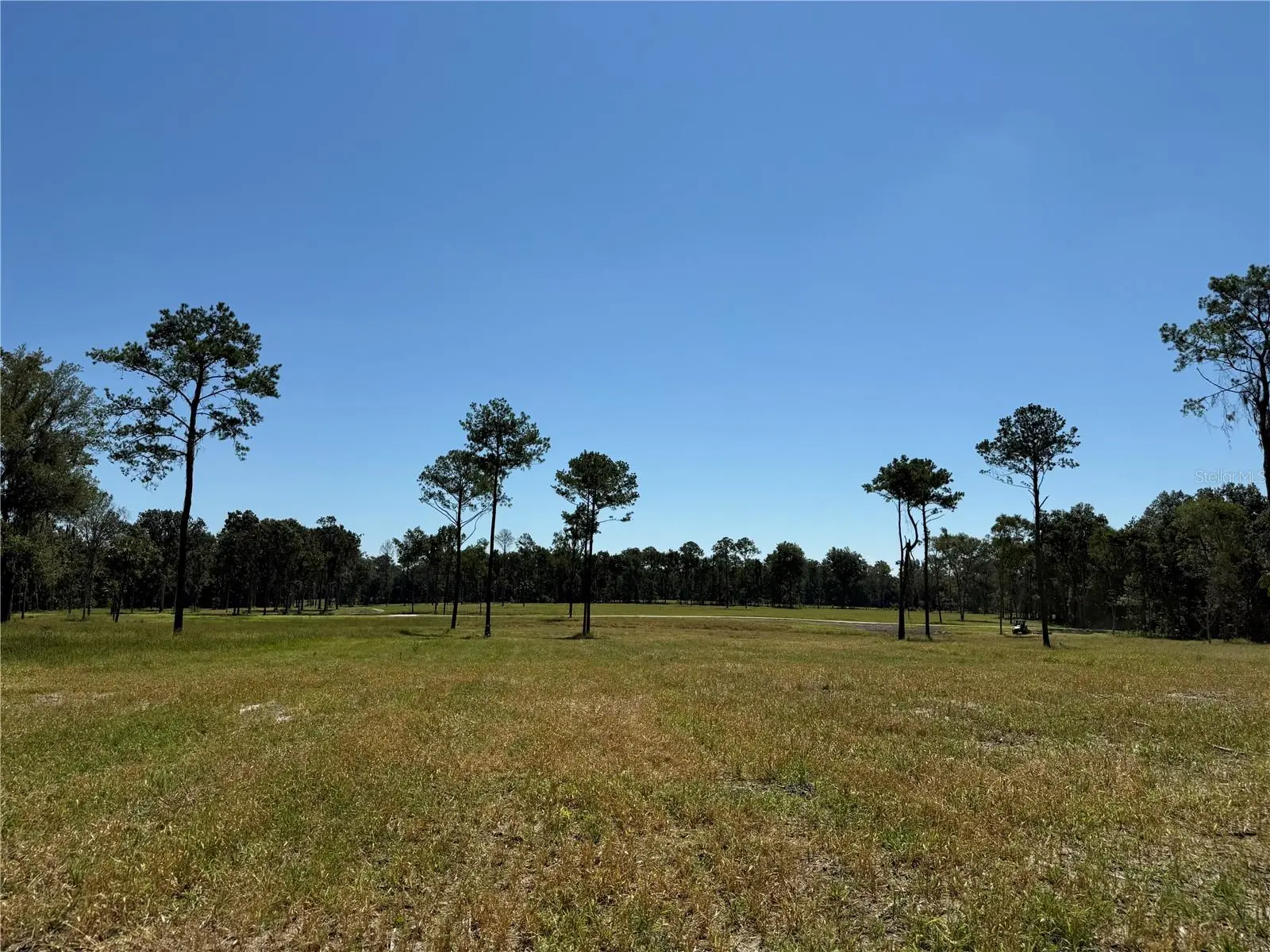 Dr #8 (10ac) 193rd St, FL