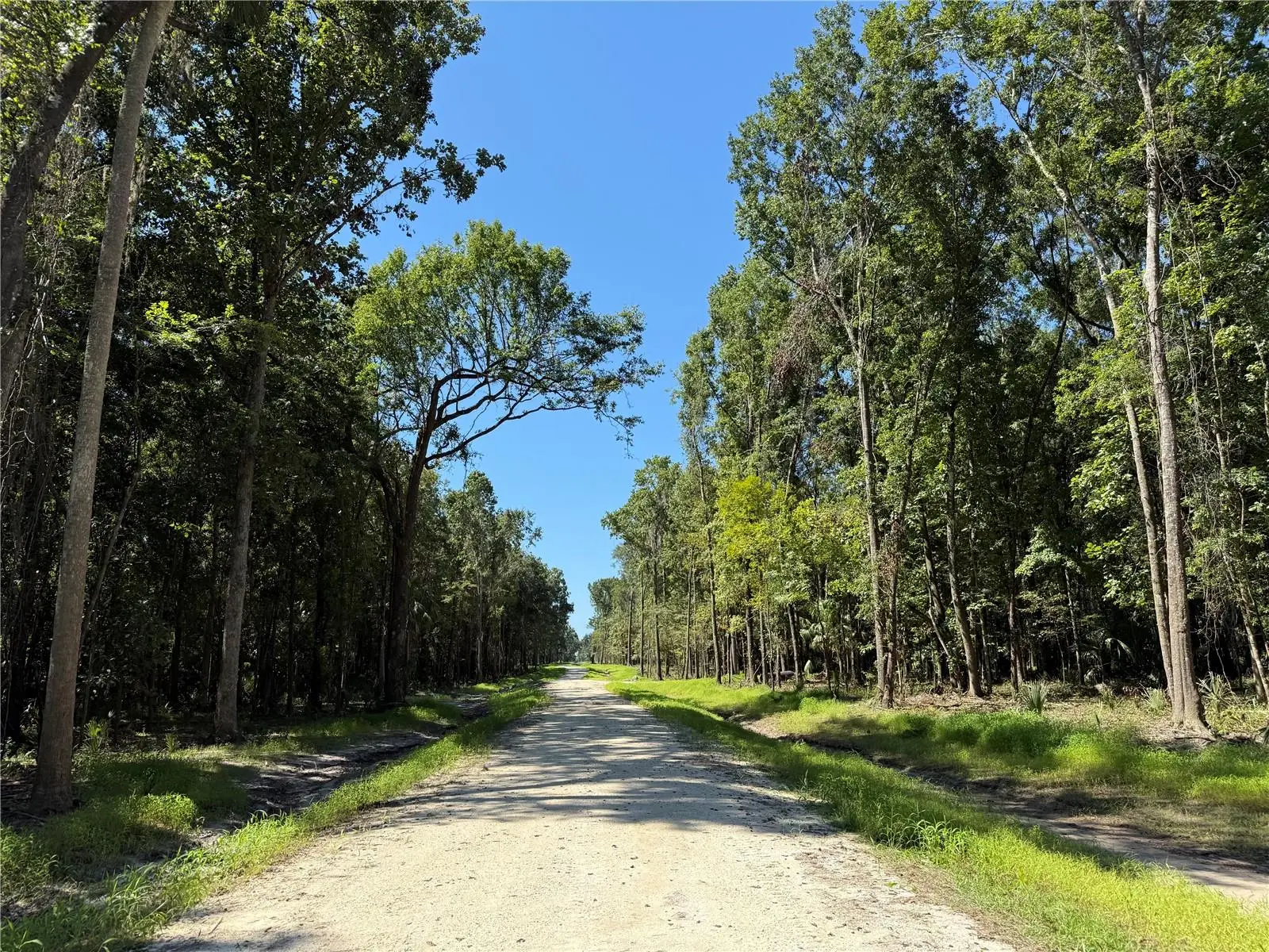 Dr #8 (10ac) 193rd St, FL
