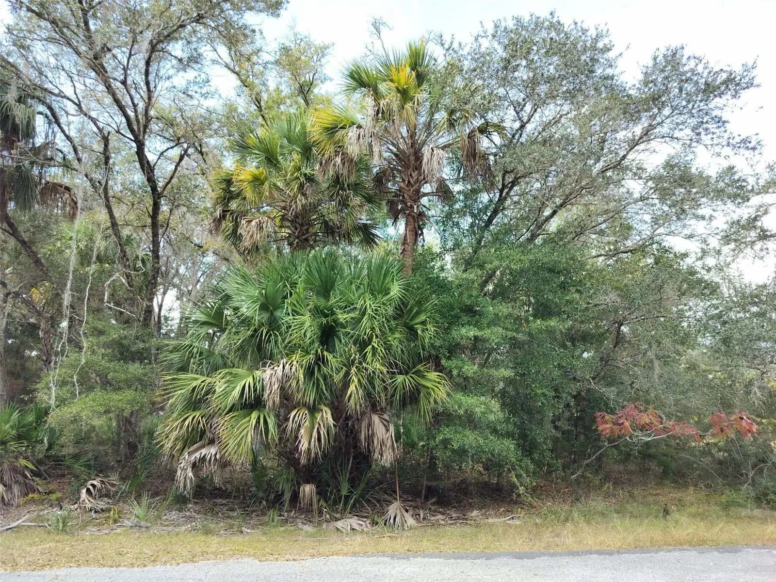9999 Snowball Point, FL