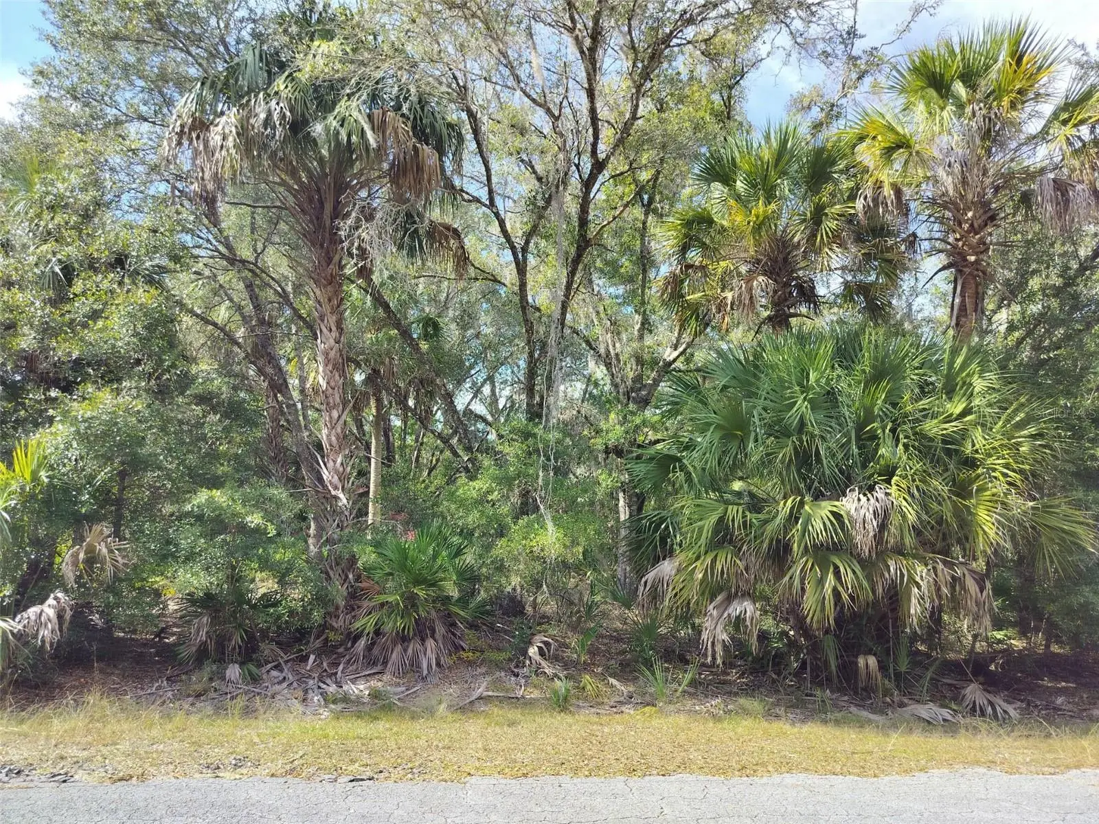 9999 Snowball Point, FL