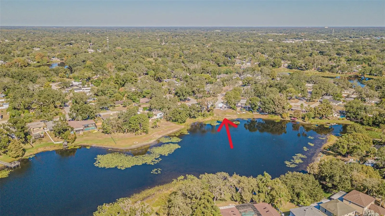 12510 Forest Hills Drive, FL