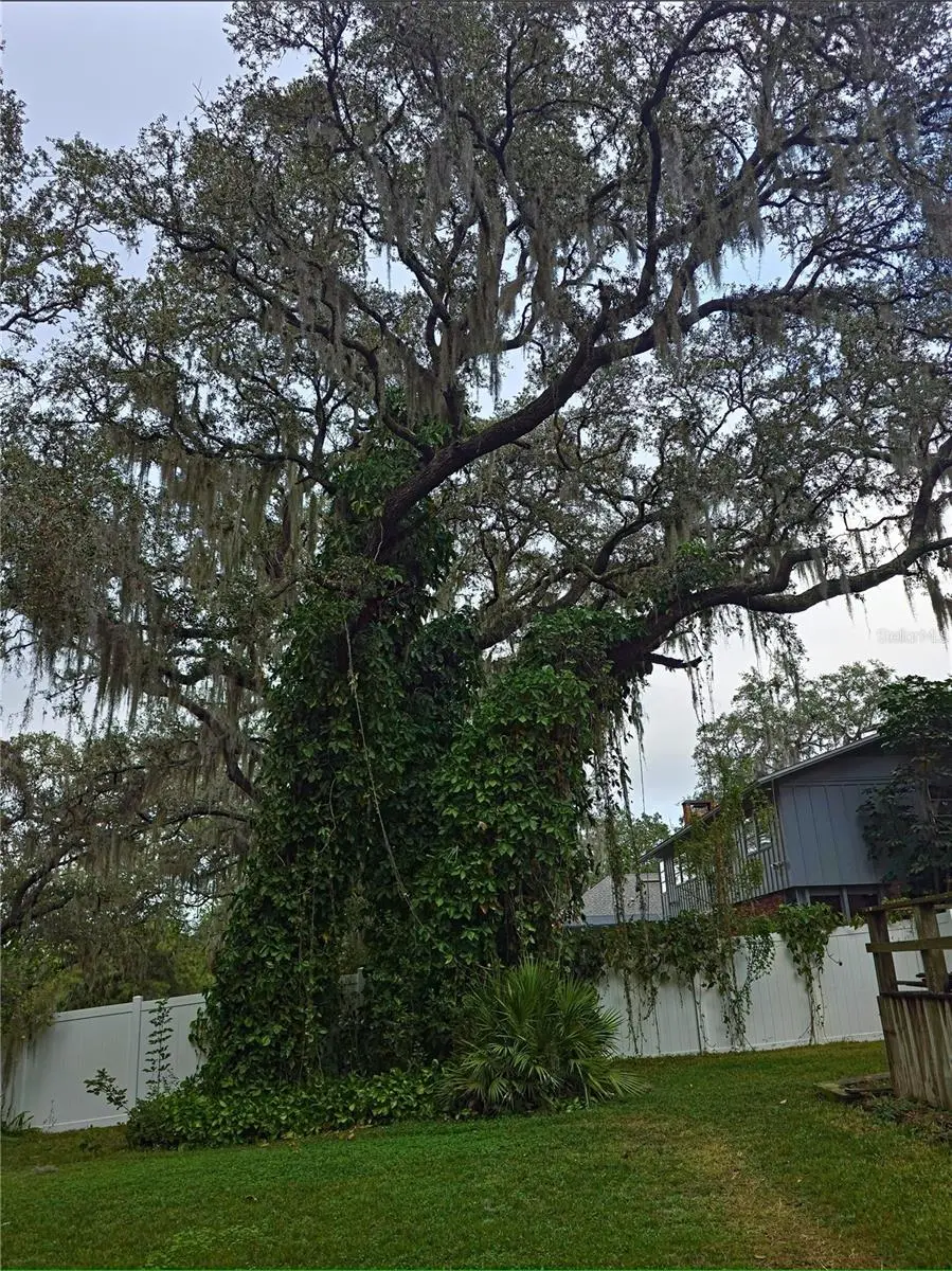 34041 Highland Road, FL