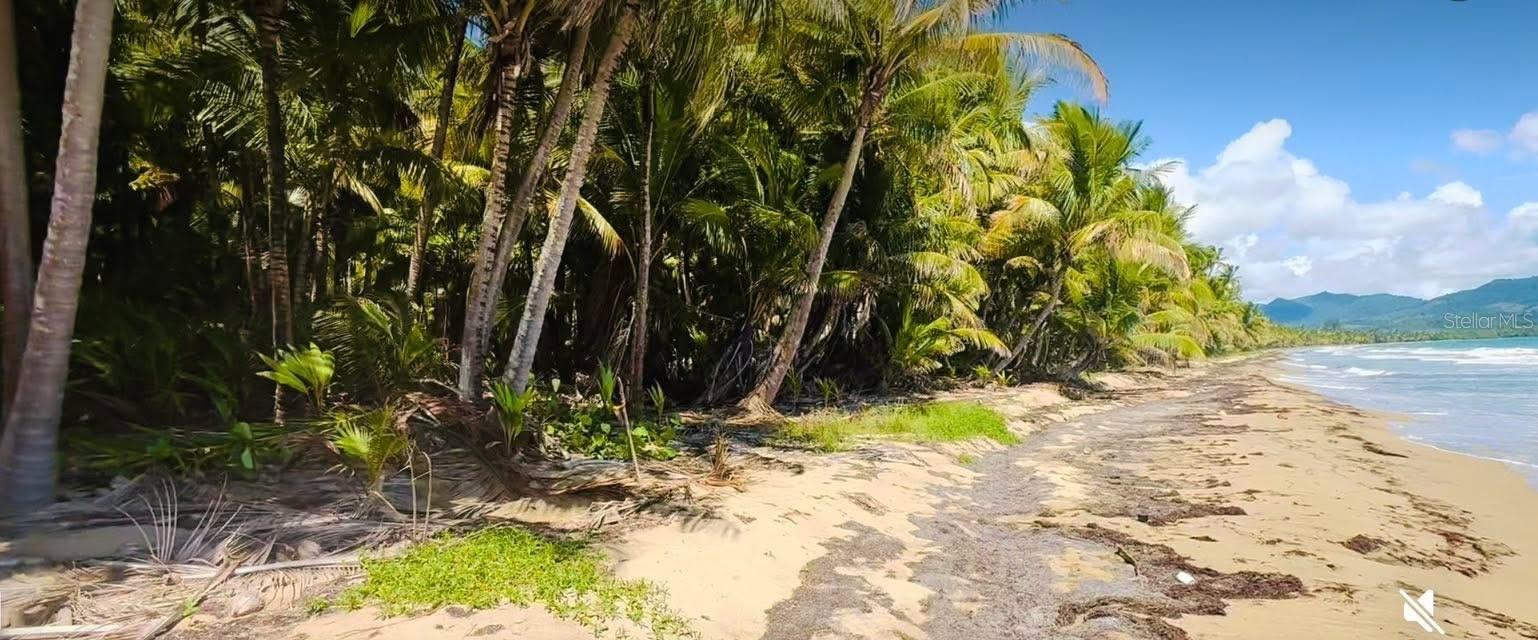 Beach Front Punta Guilarte, PR
