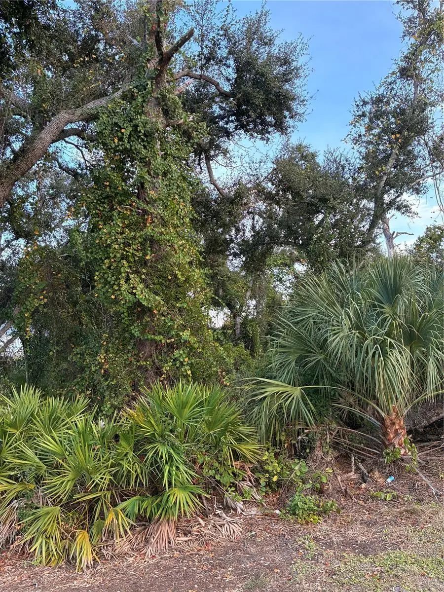 Mendavia Terrace, FL