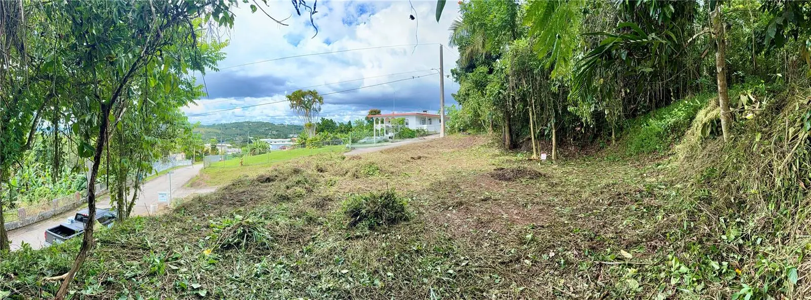 Calle Pineros, PR