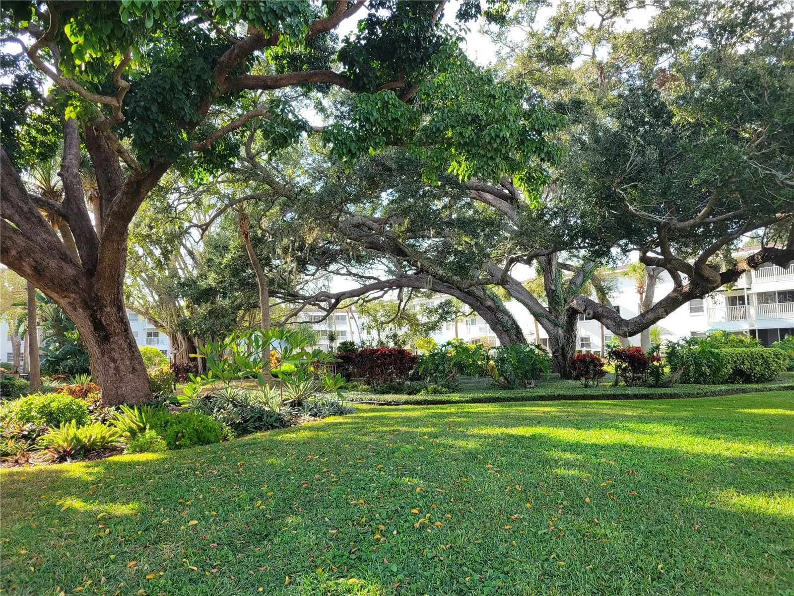 2009 Canal Drive, FL