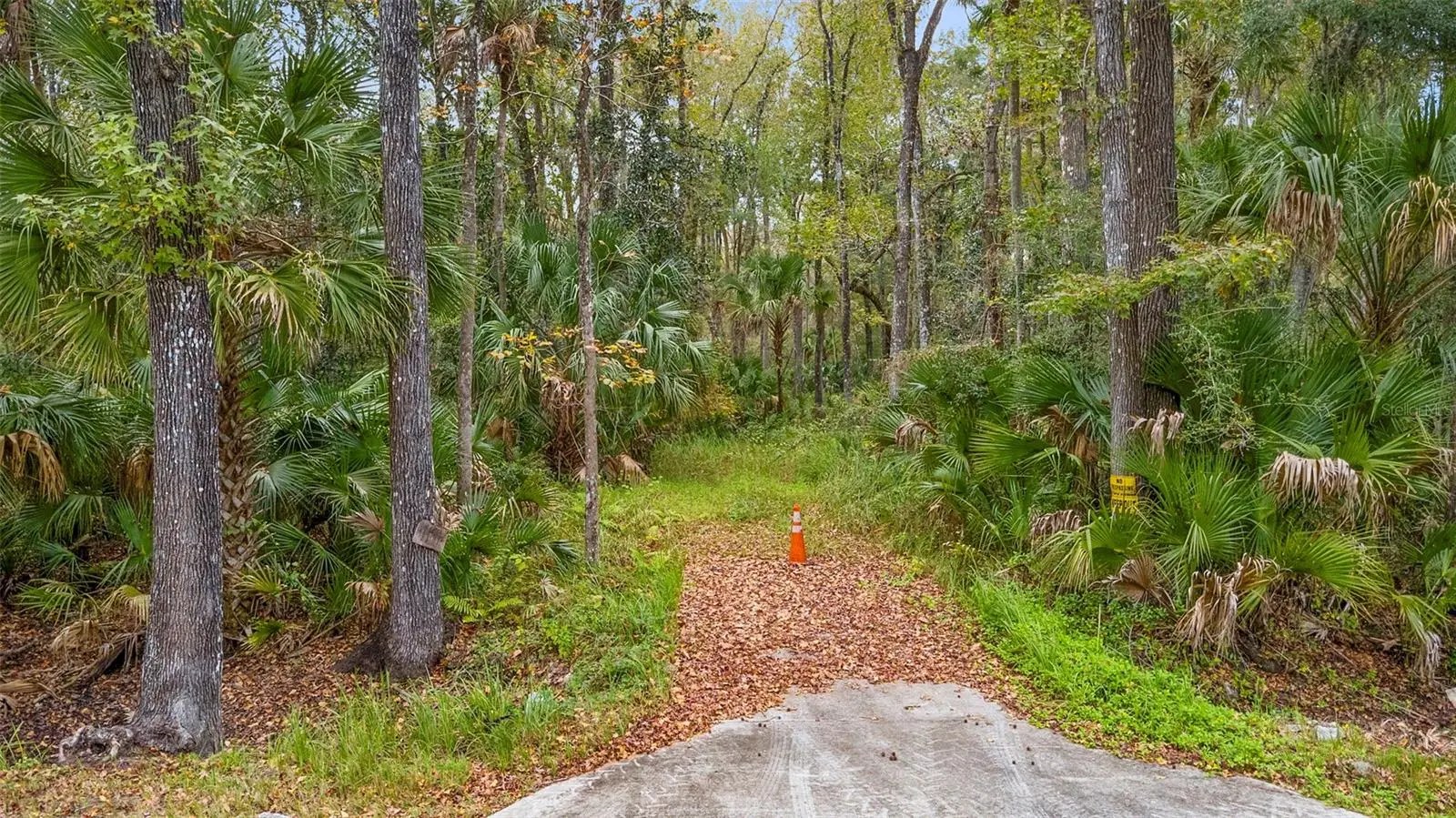 1100 Maytown Road, FL