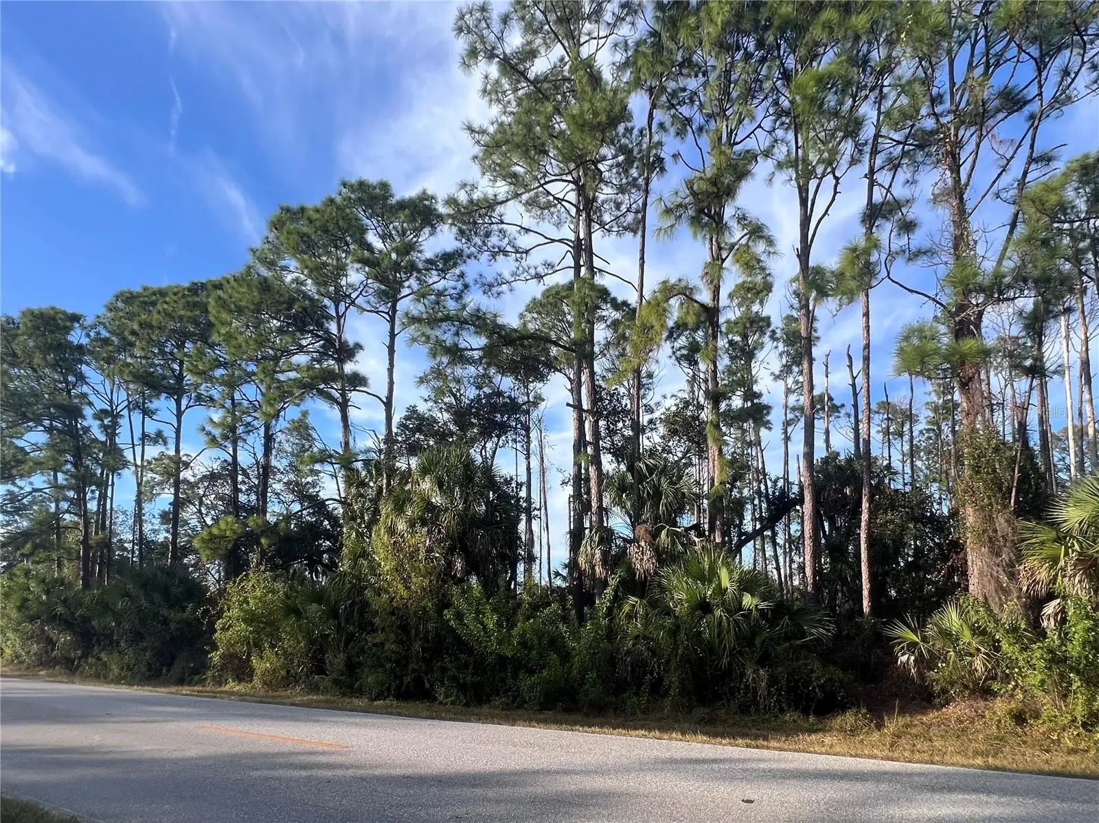 13486 Chamberlain Boulevard, FL