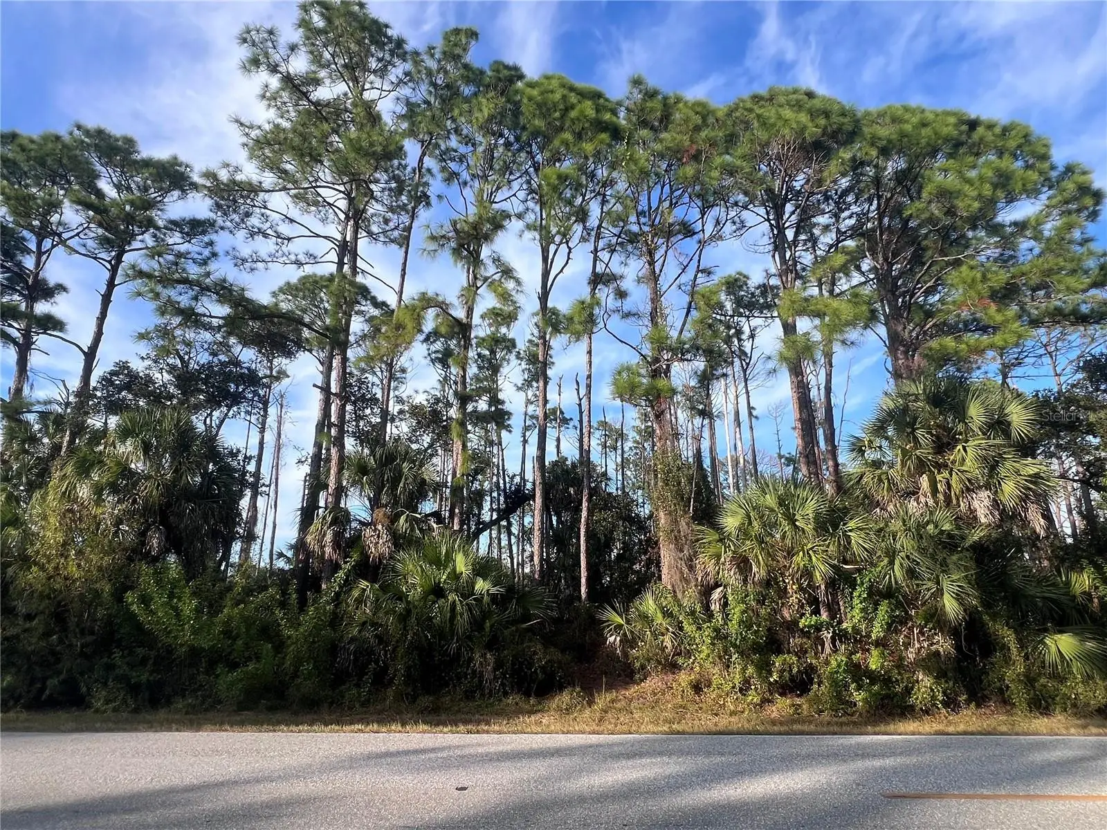 13486 Chamberlain Boulevard, FL