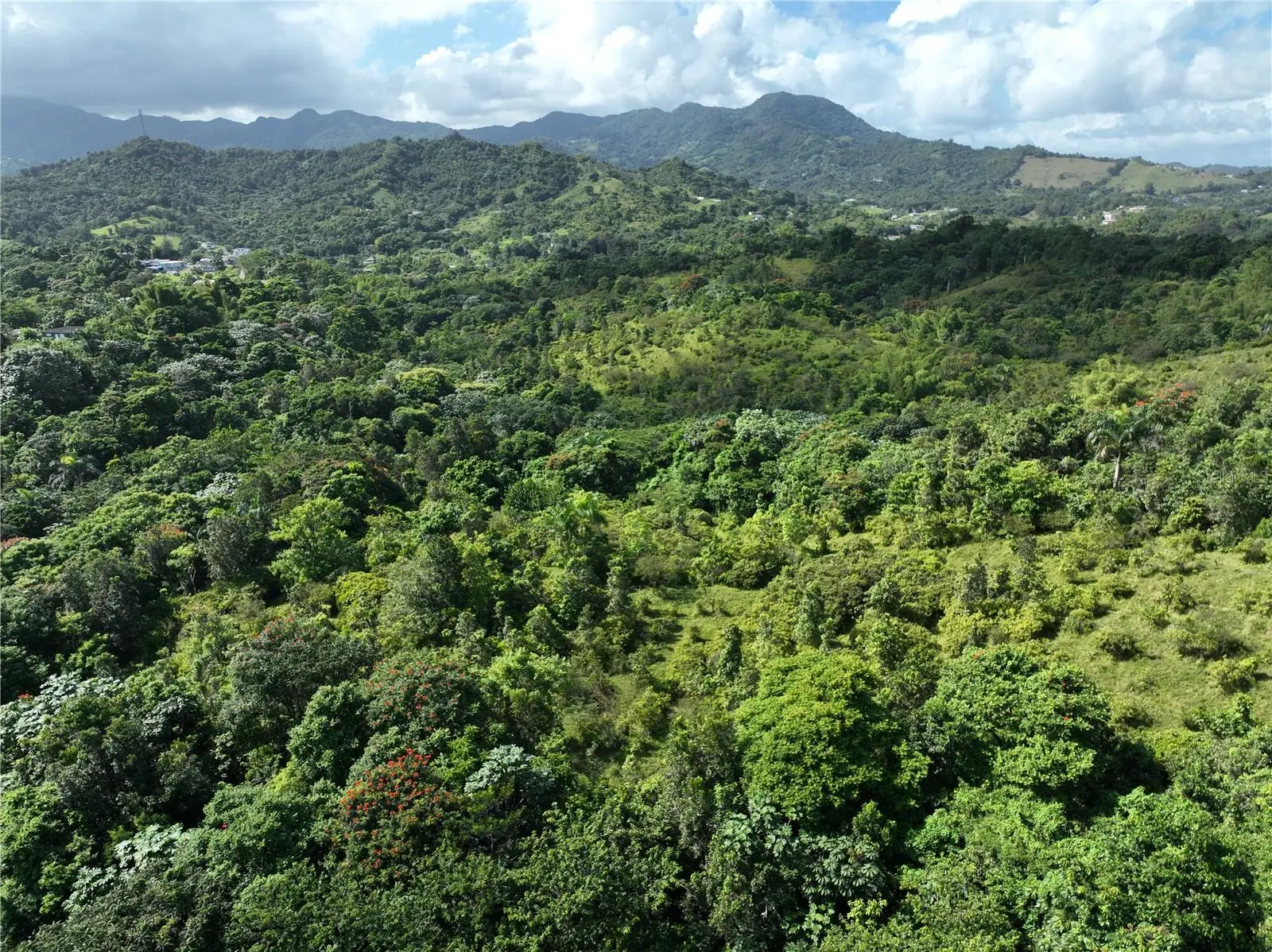 Pr 902 Camino Carlos Diaz, PR