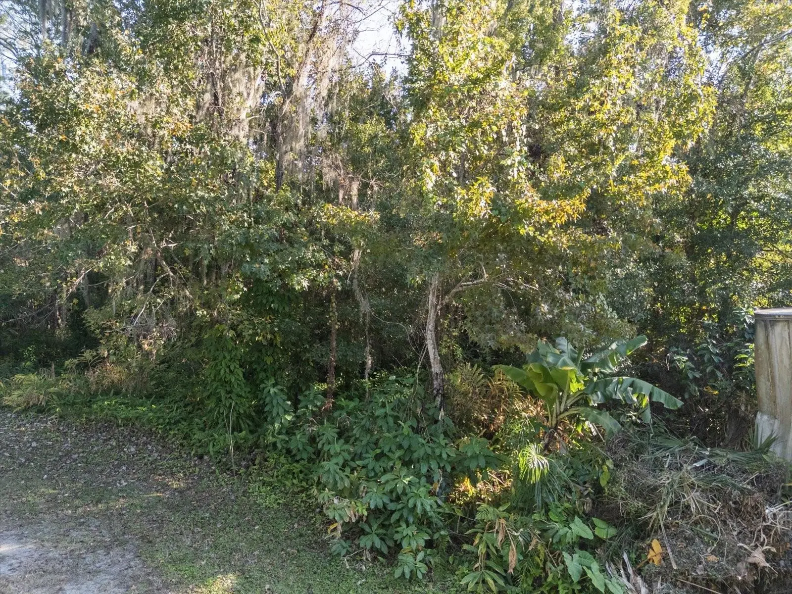 Hill Top Drive, FL