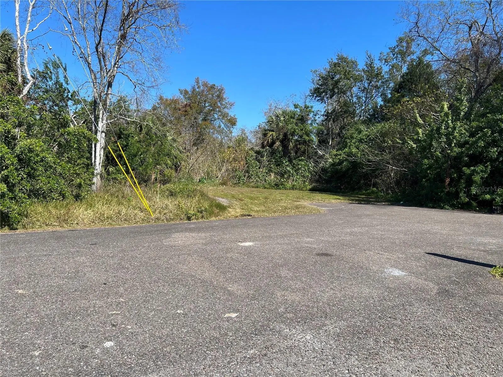 4715 Salvia Street, FL