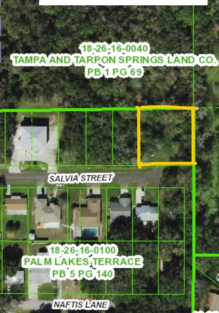 4715 Salvia Street, FL