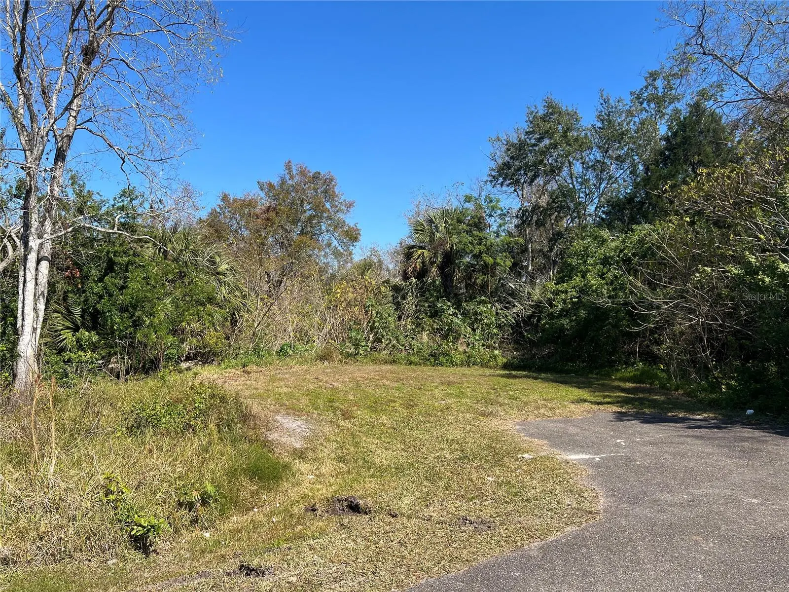 4715 Salvia Street, FL