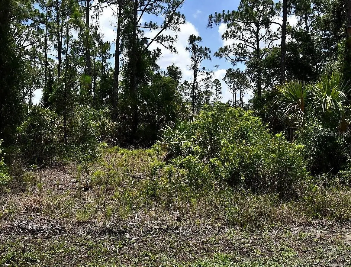 Einstein Street, FL