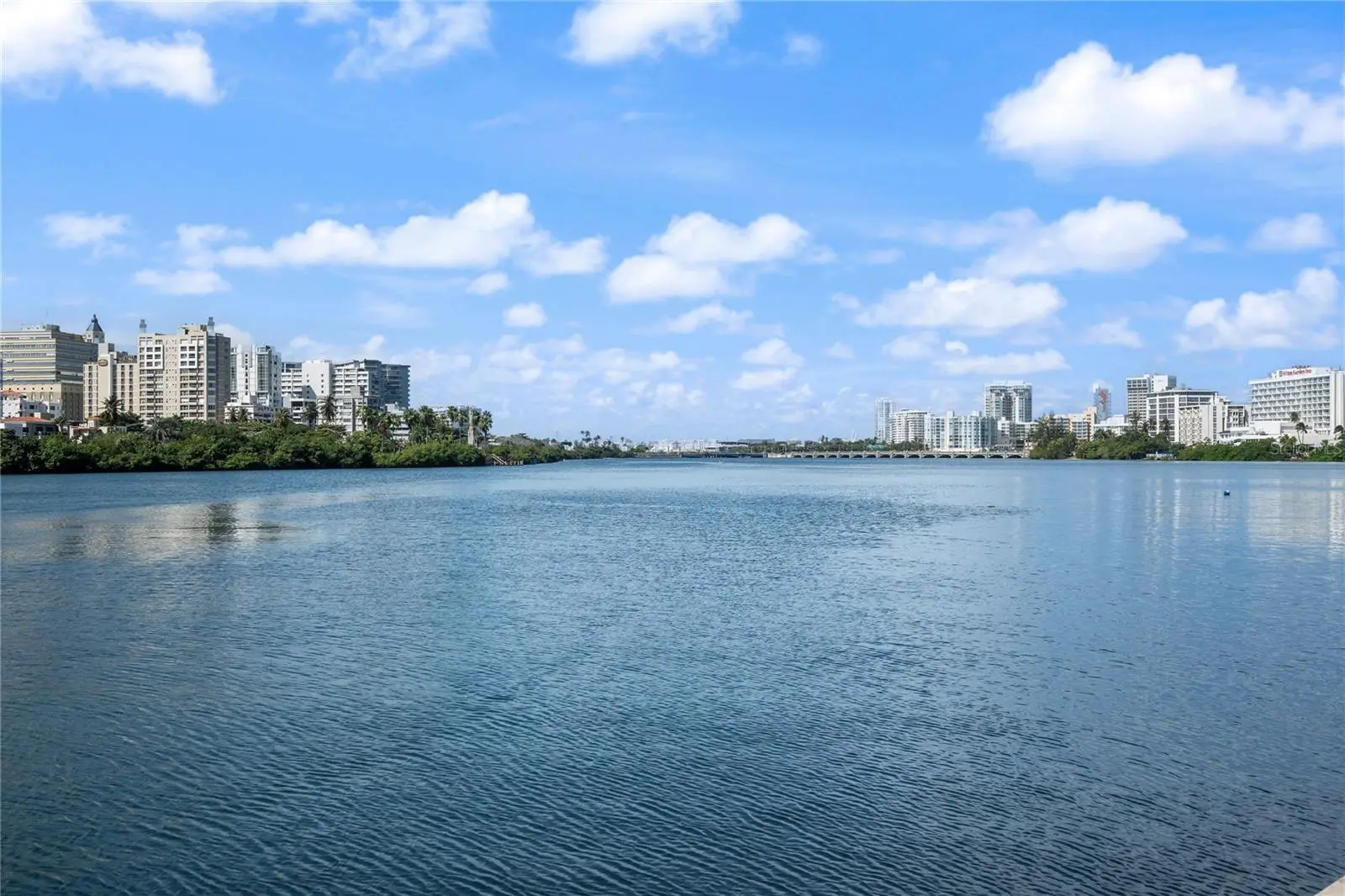 #6 Mariano RamíRez Bages - Laguna Terrace, PR