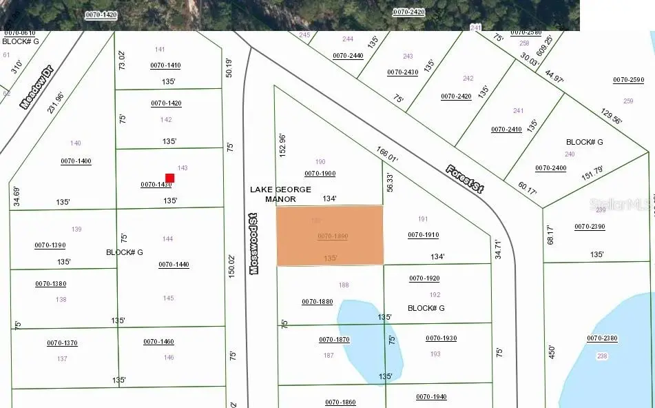 106 Mosswood Street, FL