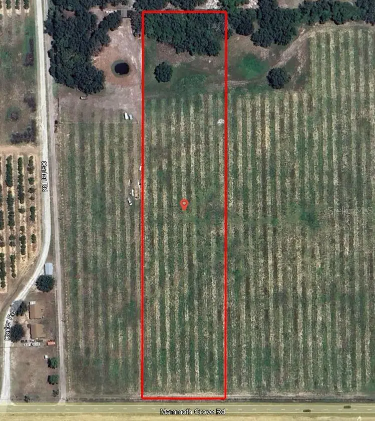 Mammoth Grove Road, FL