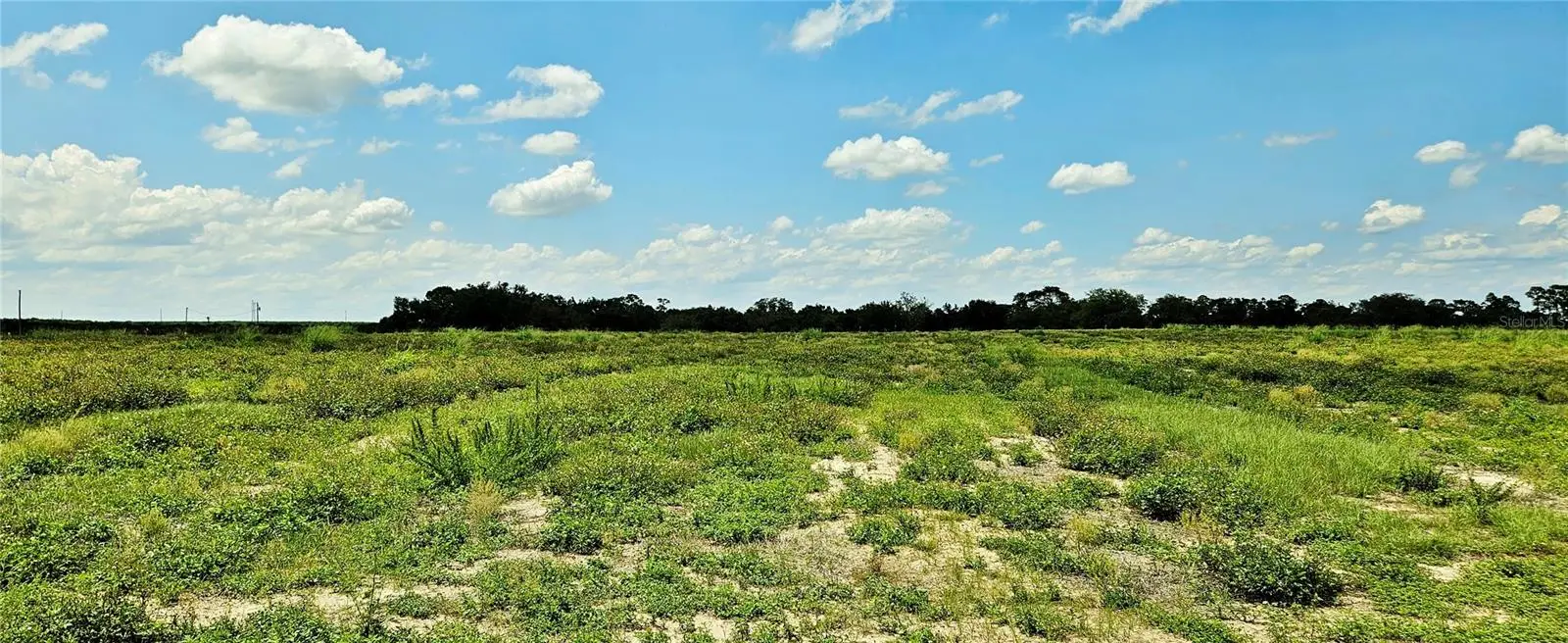 Mammoth Grove Road, FL