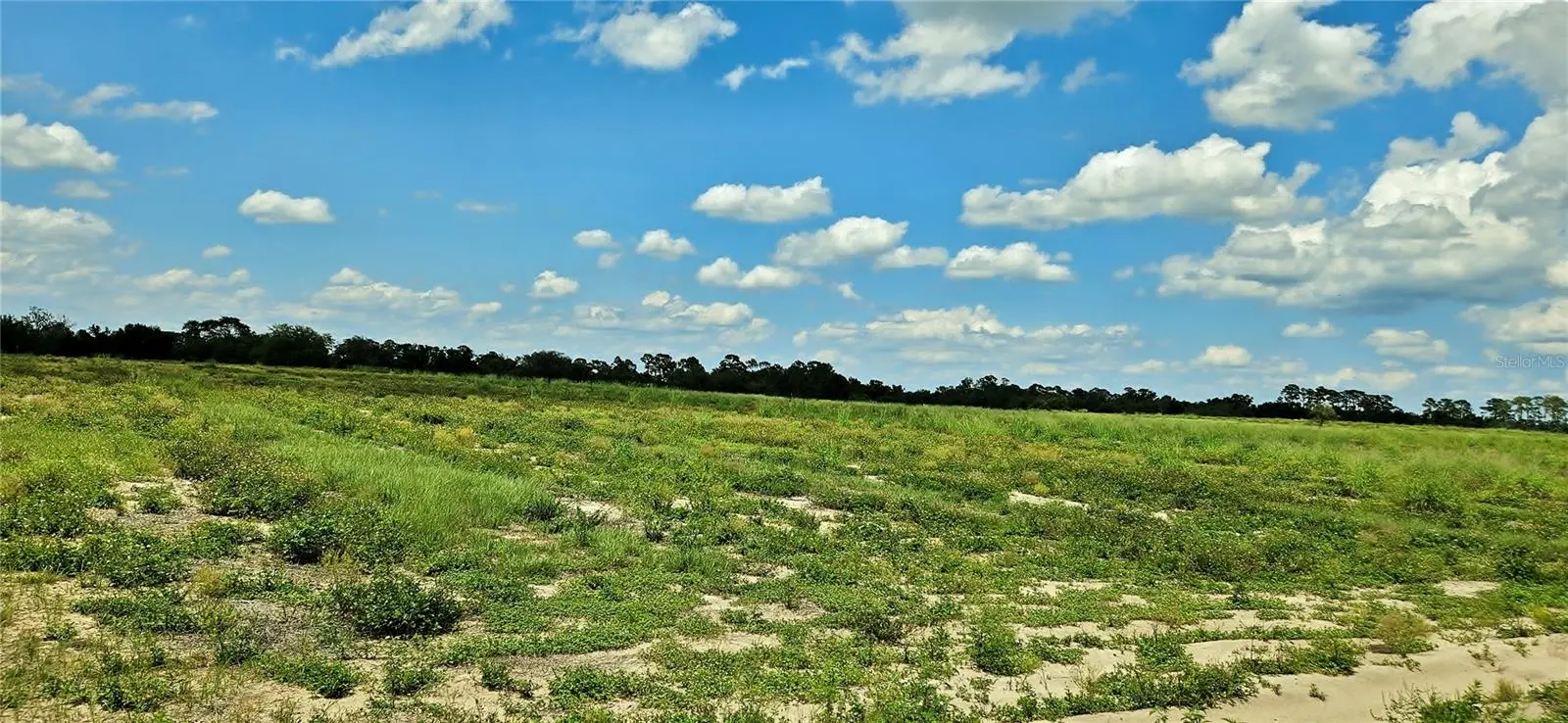 Mammoth Grove Road, FL