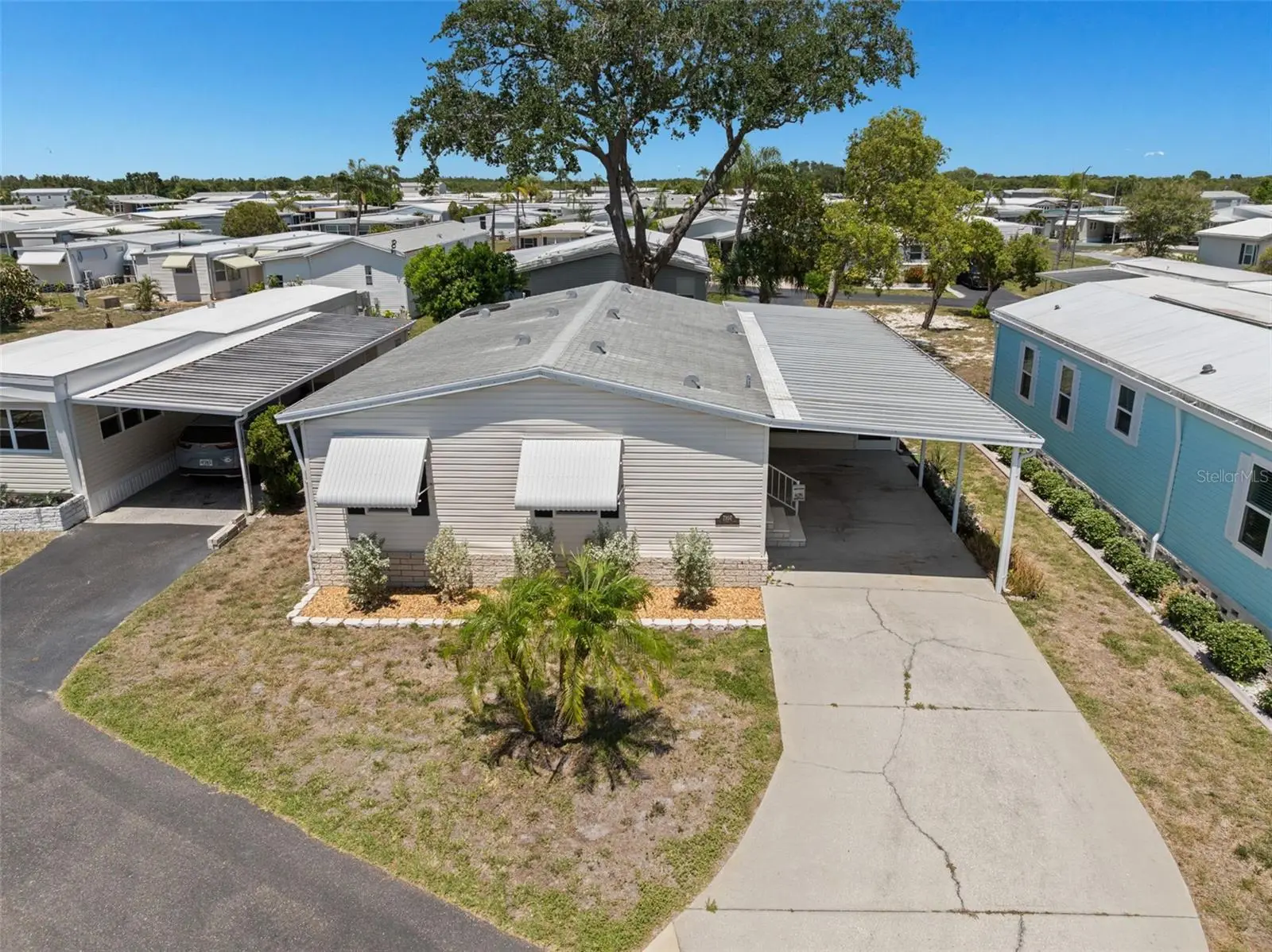 7107 Mount Essex Drive, FL
