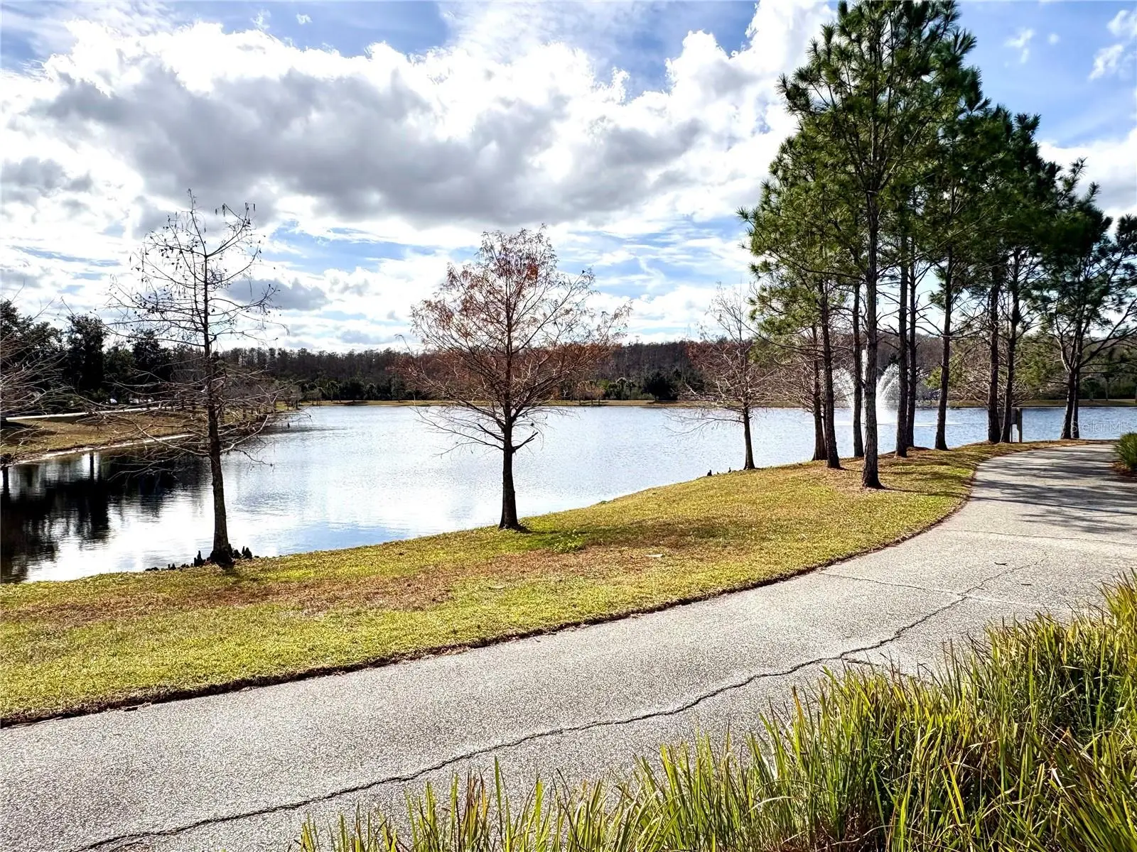 8607 Randal Park Boulevard, FL