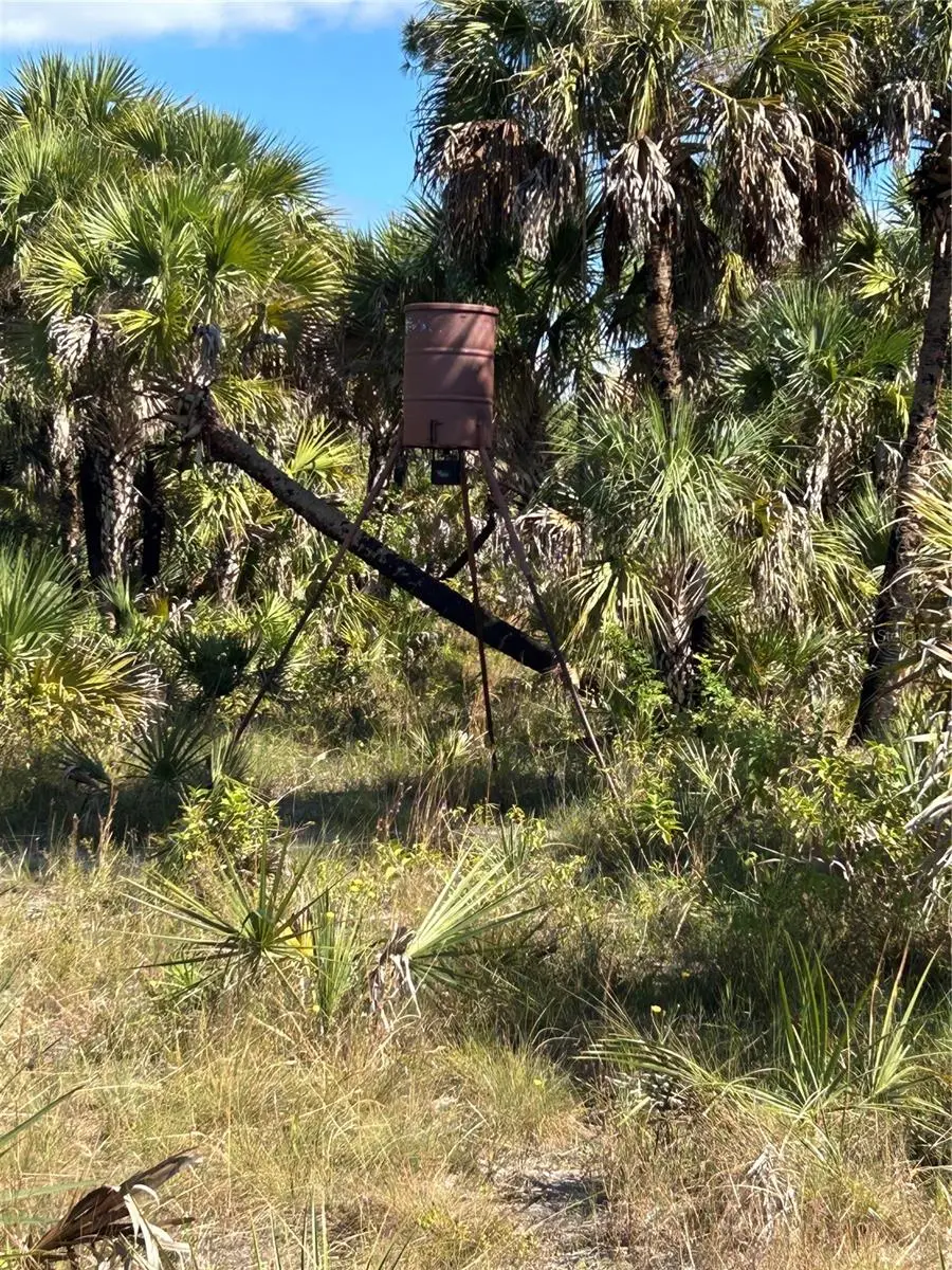Na, FL