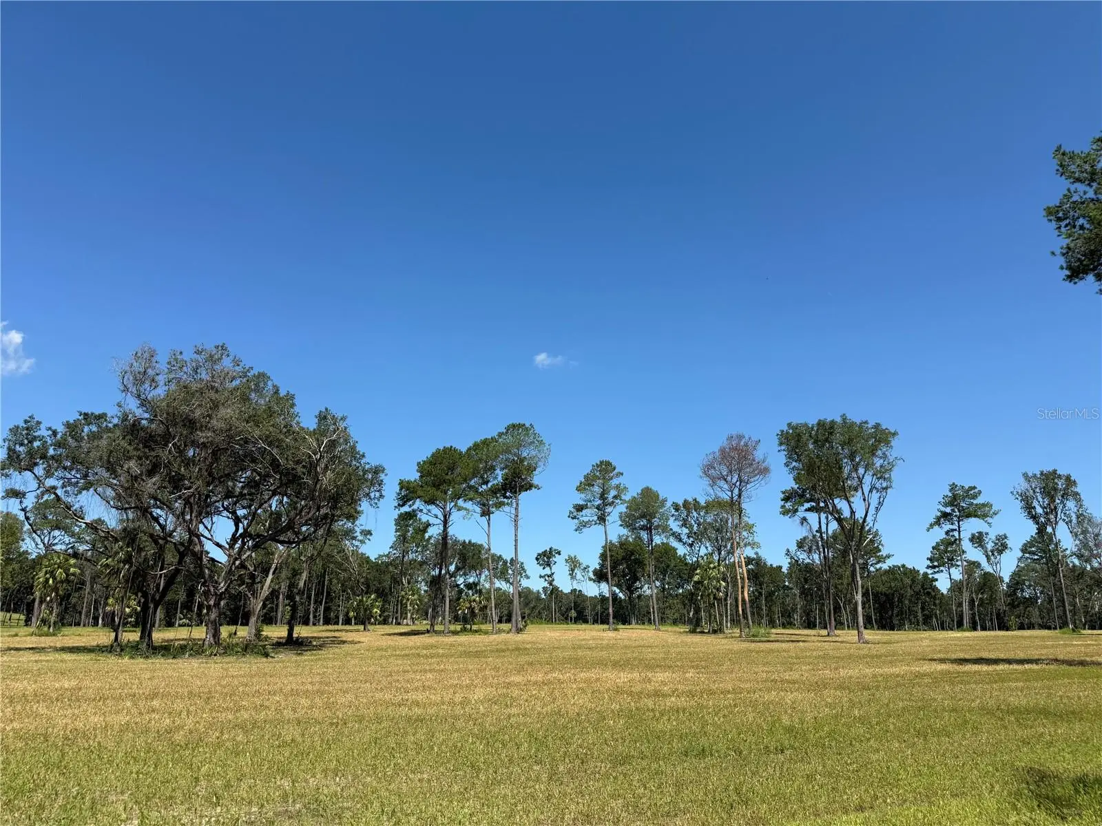 Dr #7 (10ac) 193rd St, FL