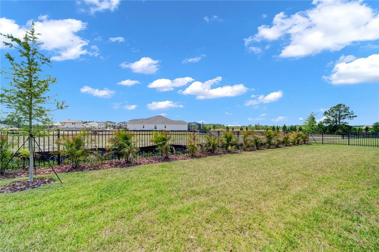 35564 Big Hawk Drive, FL