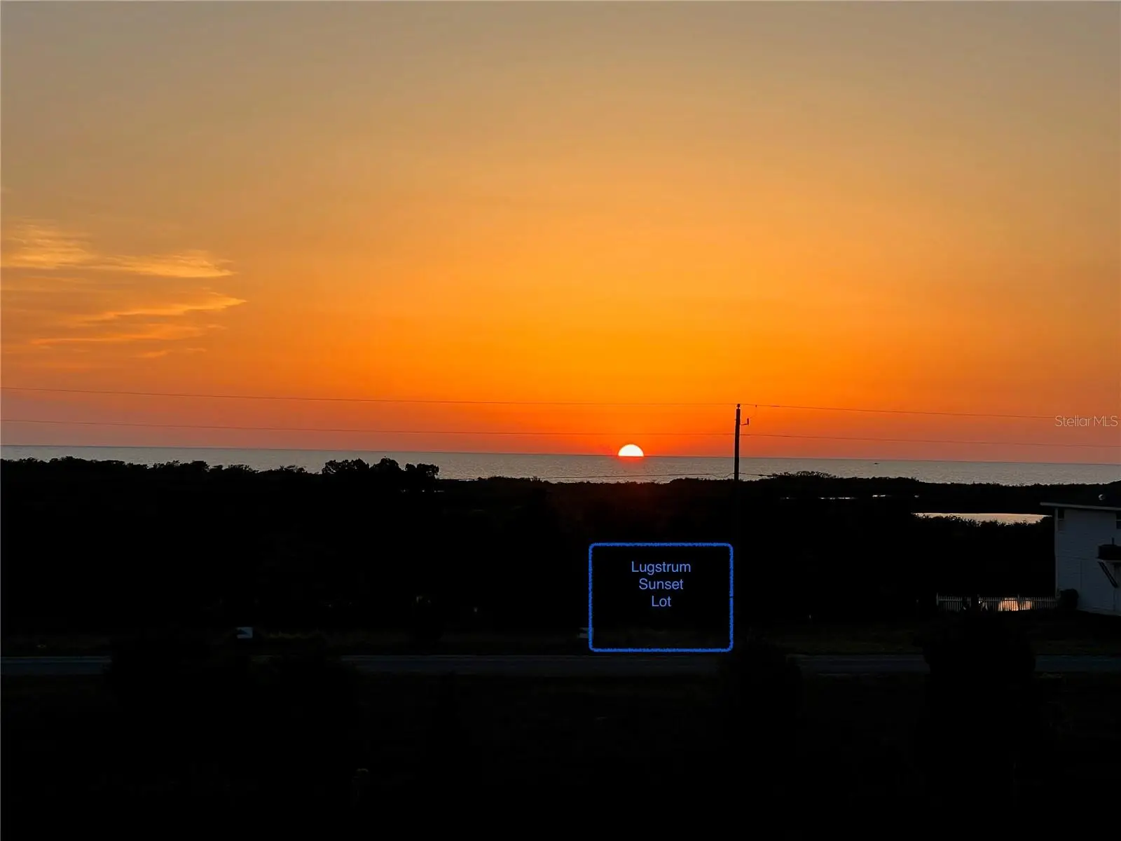 Lugustrum Drive, FL