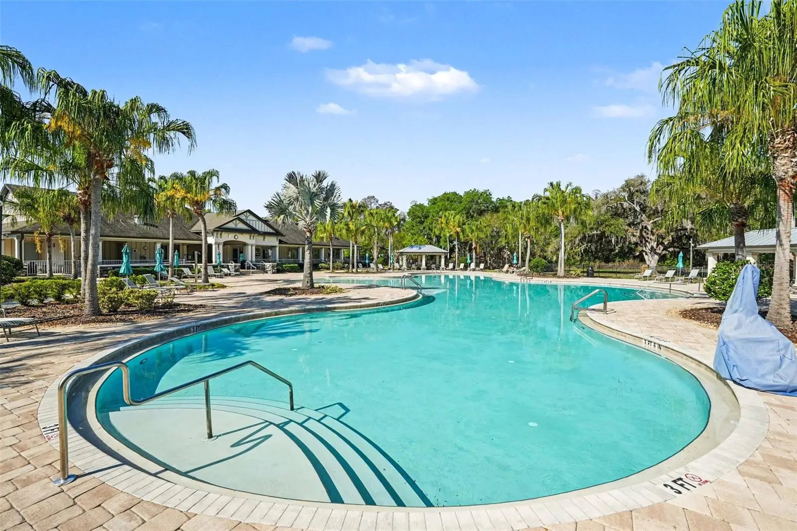 19206 Briarbrook Drive, FL