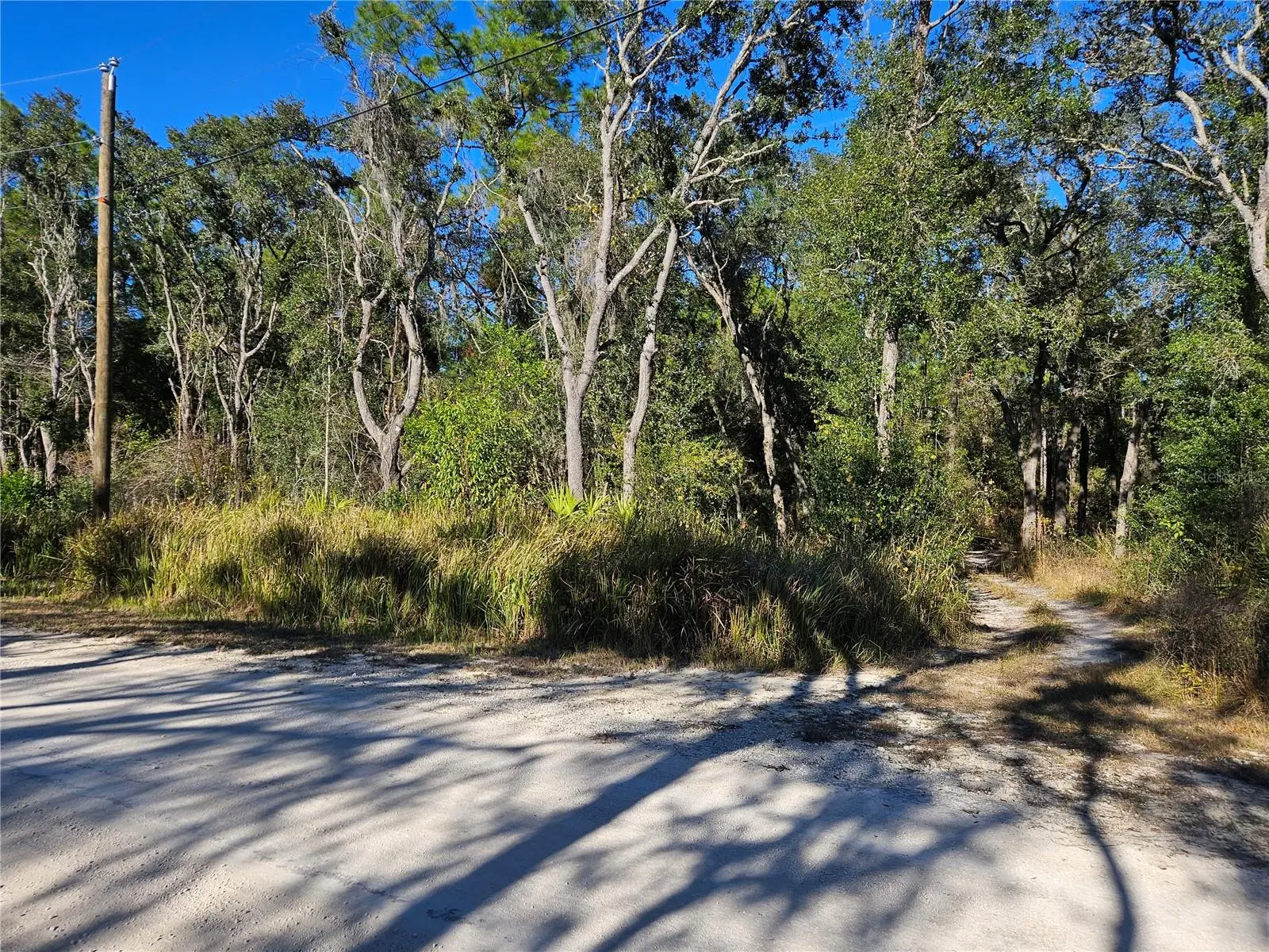 Berryhill Drive, FL