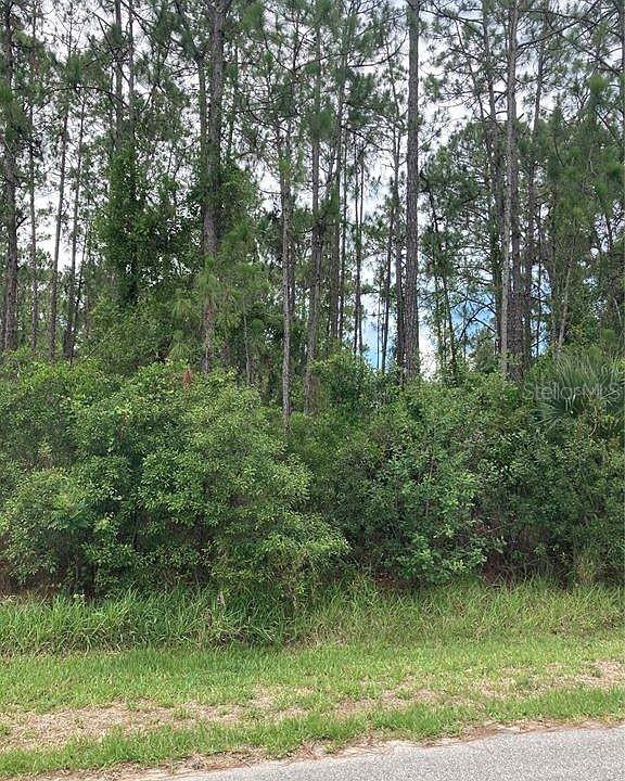 Bristol Avenue, FL