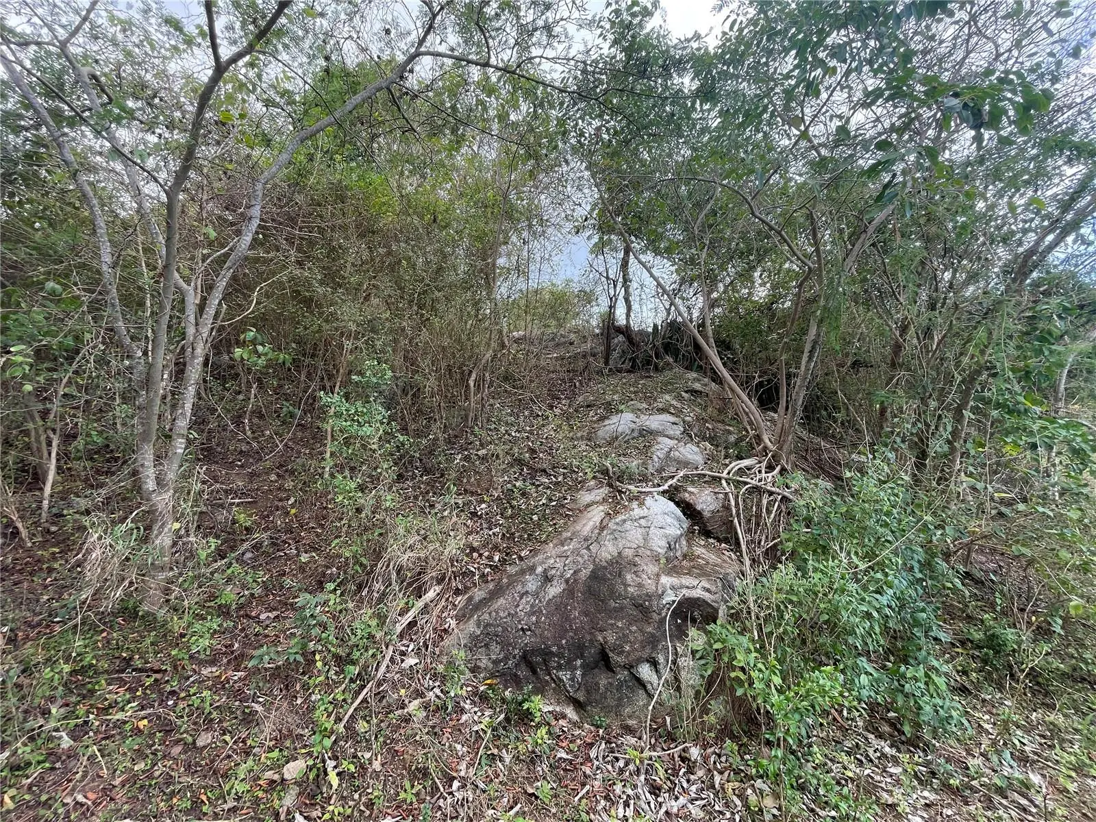 3 Windhorse Farm, PR