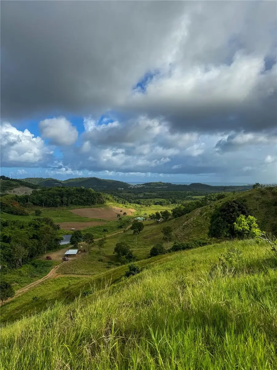 Carr 972 Mariana, PR