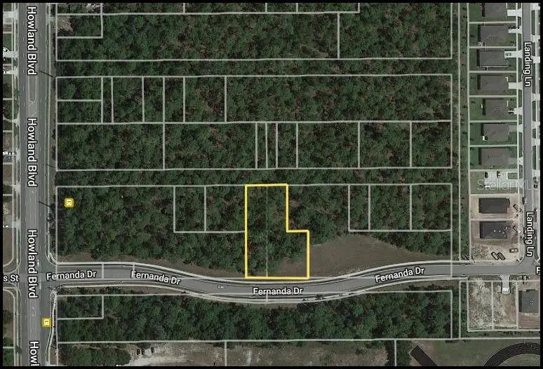 Virginia (Paper) Avenue, FL