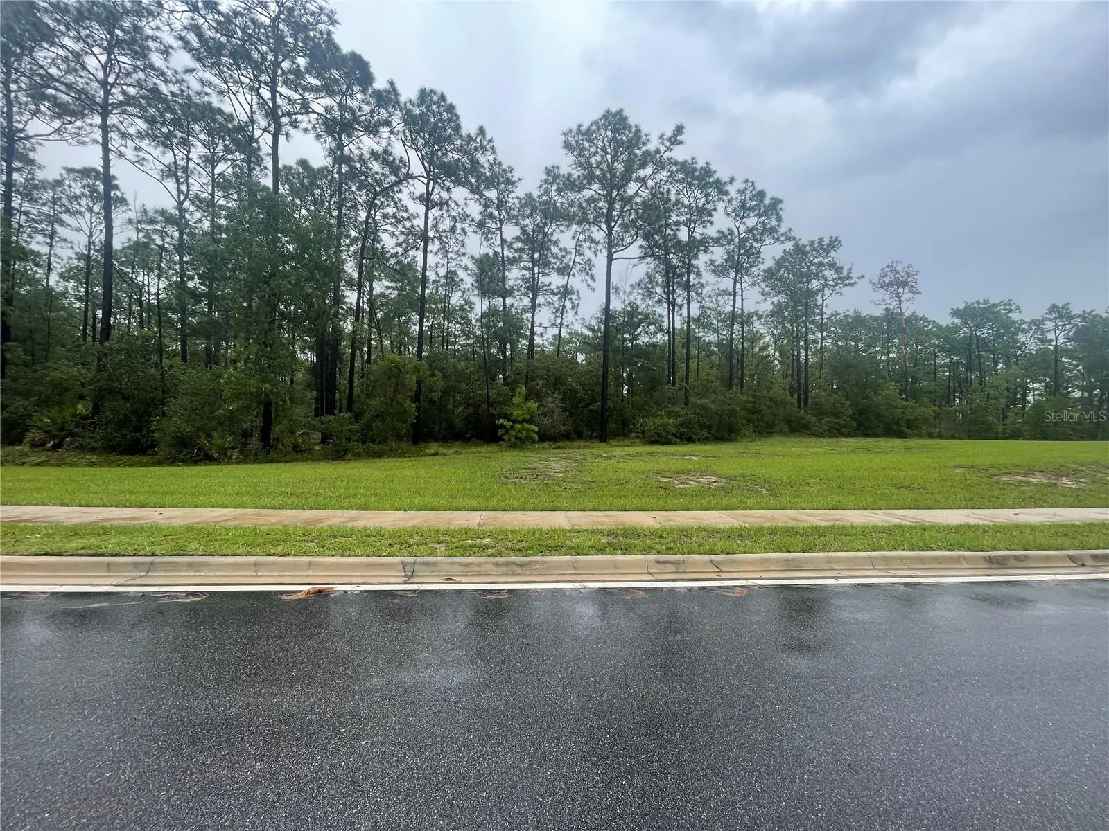 Virginia (Paper) Avenue, FL