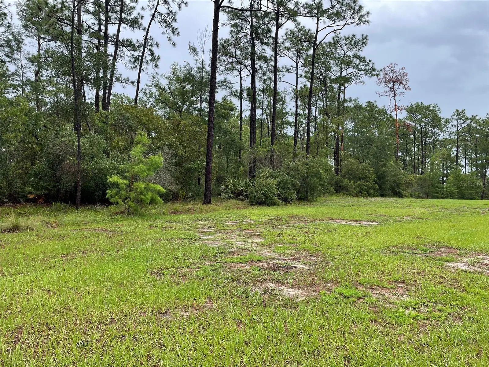 Virginia (Paper) Avenue, FL