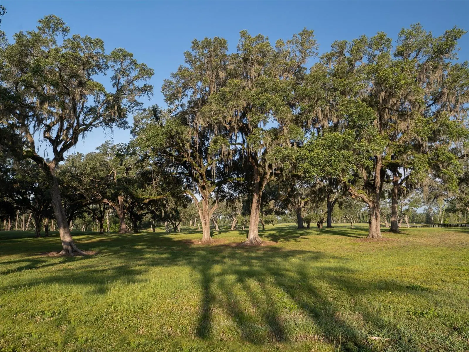 11771 50th Lane Road, FL