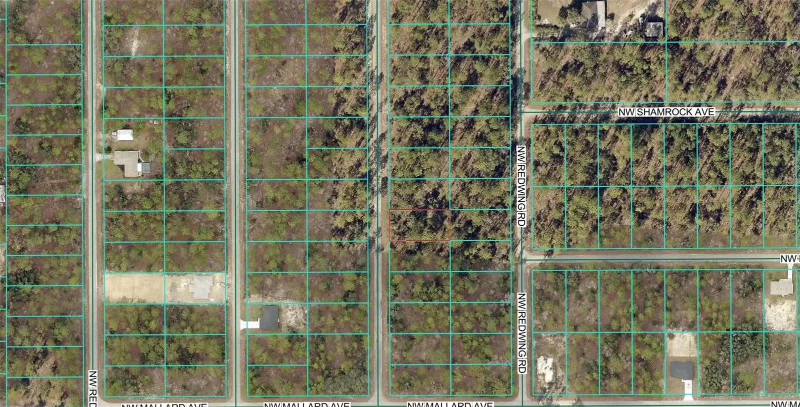 00 Narcissus Road, FL